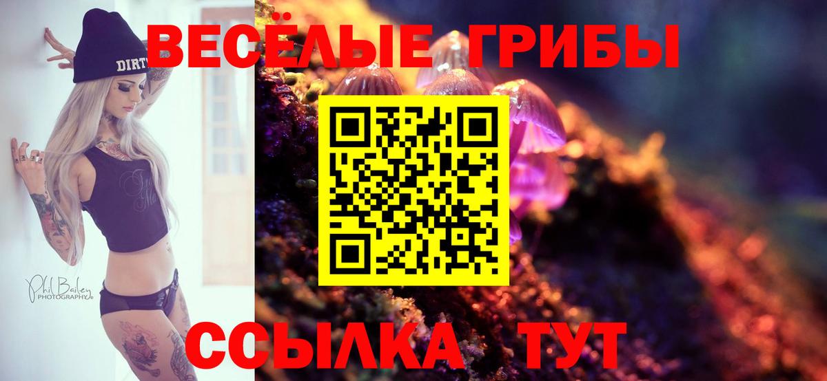 Чистополь  Псилоцибиновые грибы мухоморы  Вход с VPN 