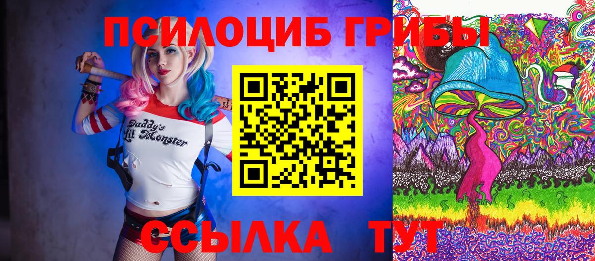 Галлюциногенные грибы Psilocybe Чистополь